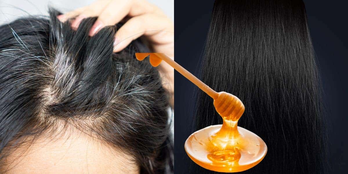Fim do cabelo branco com tinta natural com mel (Reprodução: Montagem TV Foco)
