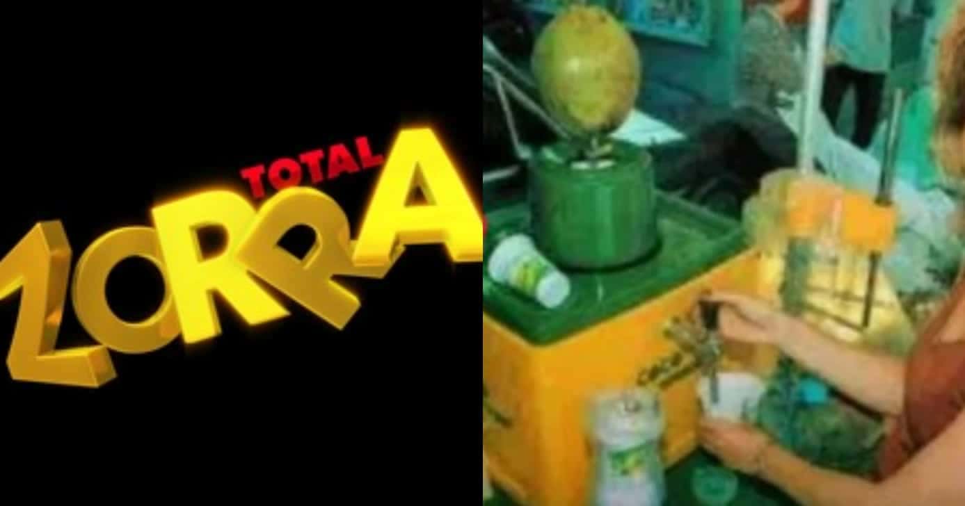 Atriz do Zorra Total vendeu água de coco para viver: "Chorei" (Foto: Reprodução/Montagem TV Foco)