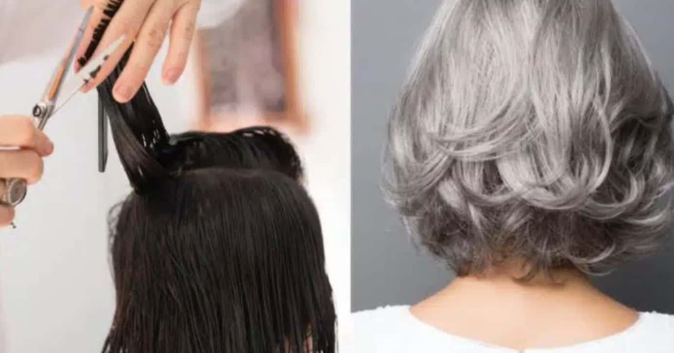 4 cortes de cabelo que envelhecem 15 anos (Foto: Montagem/TV Foco)