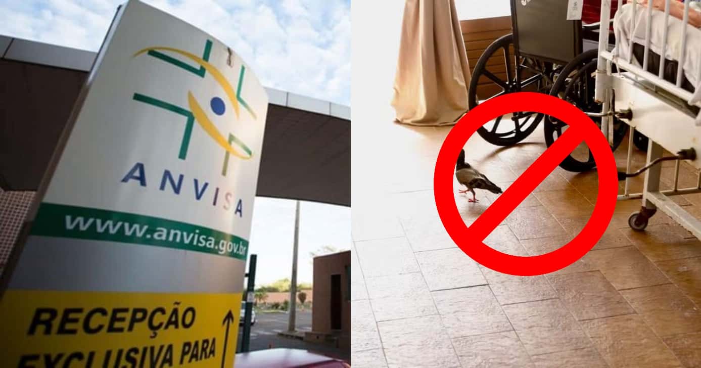 Anvisa interdita local preferido dos idosos (Foto: Divulgação)