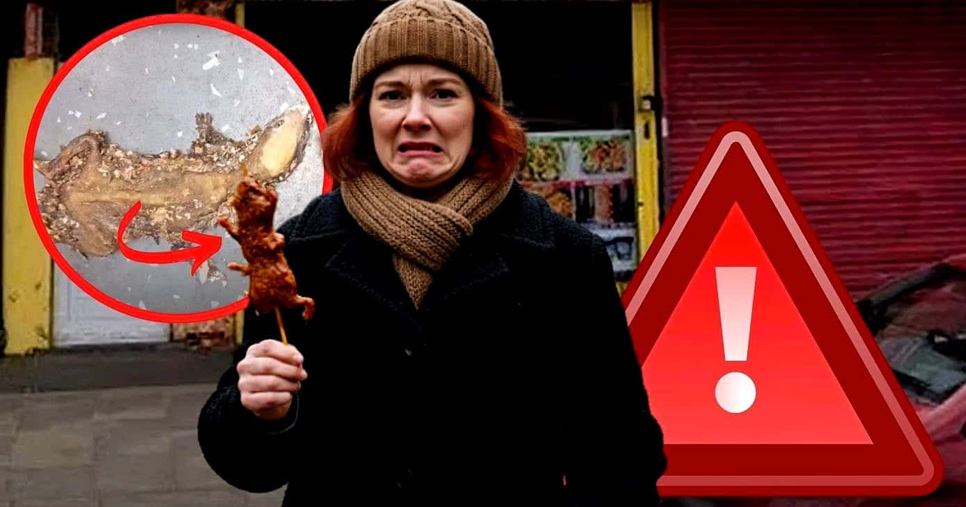 Restaurante nº1 vira alvo de Vigilância após rato frito ( Foto Reprodução/Montagem/Tv Foco/Canva/Lennita/TripAdvisor)