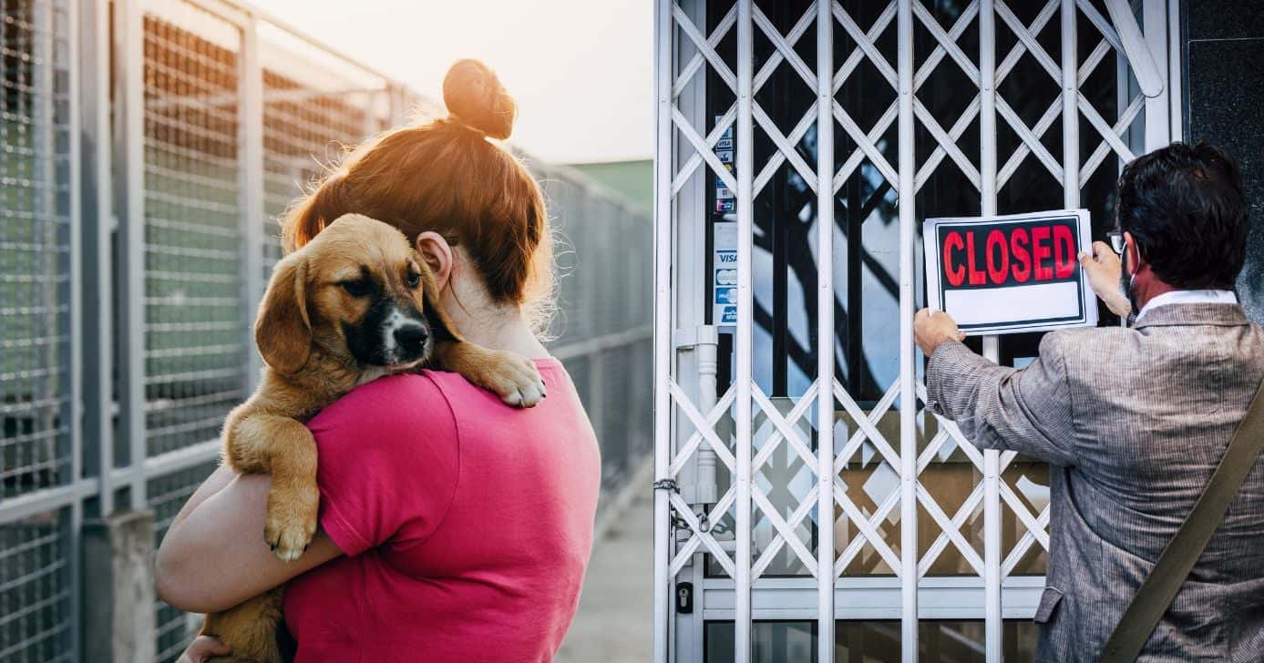 Empresa fechada e animais em risco em Campo Grande - Foto Reprodução Internet