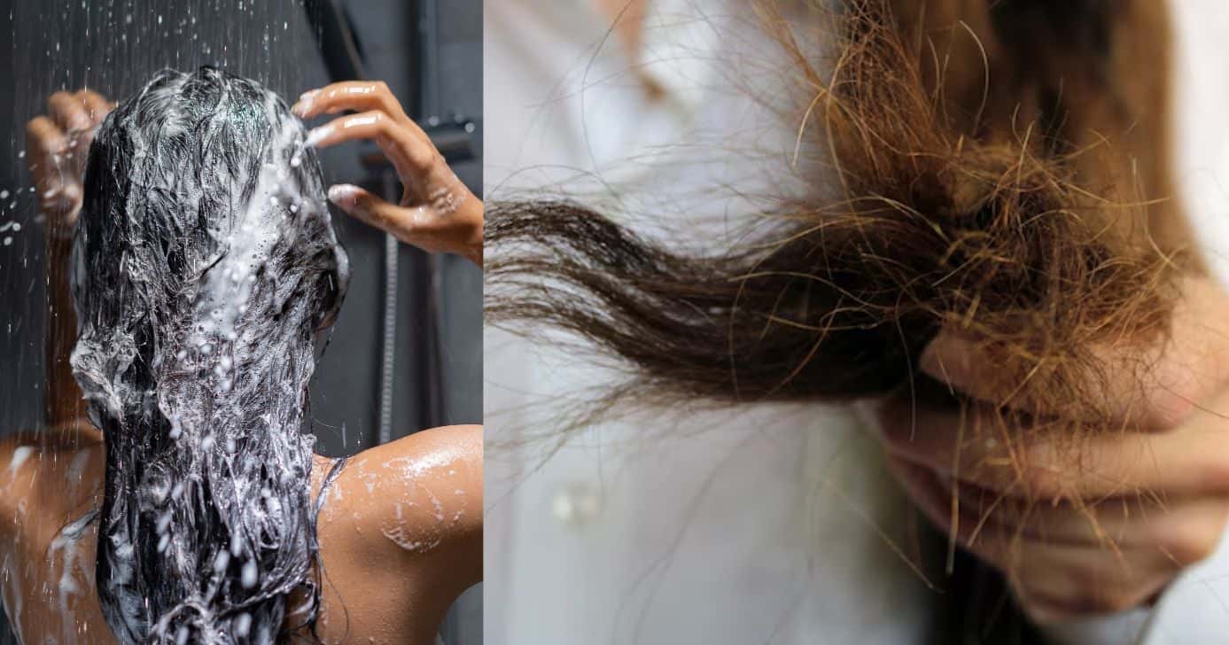 Mulher no chuveiro e cabelo ressecado (Fotos: Reproduções / Canva/ Freepik)