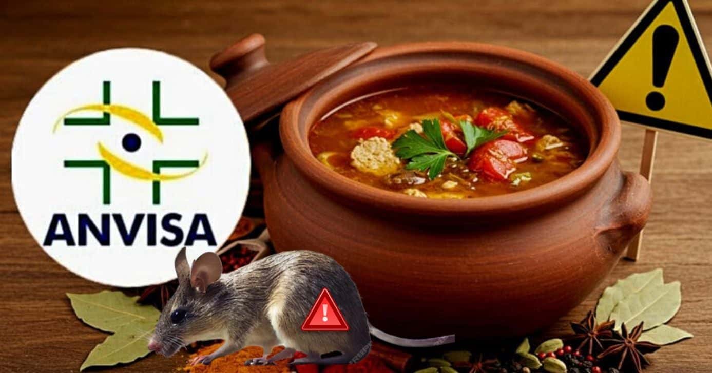 ANVISA confirma retirada de tempero nº1 após risco detectado pela própria empresa (Foto: Reprodução/Montagem/Tv Foco/Canva/Lennita/Pinterest/Freepik/ANVISA)