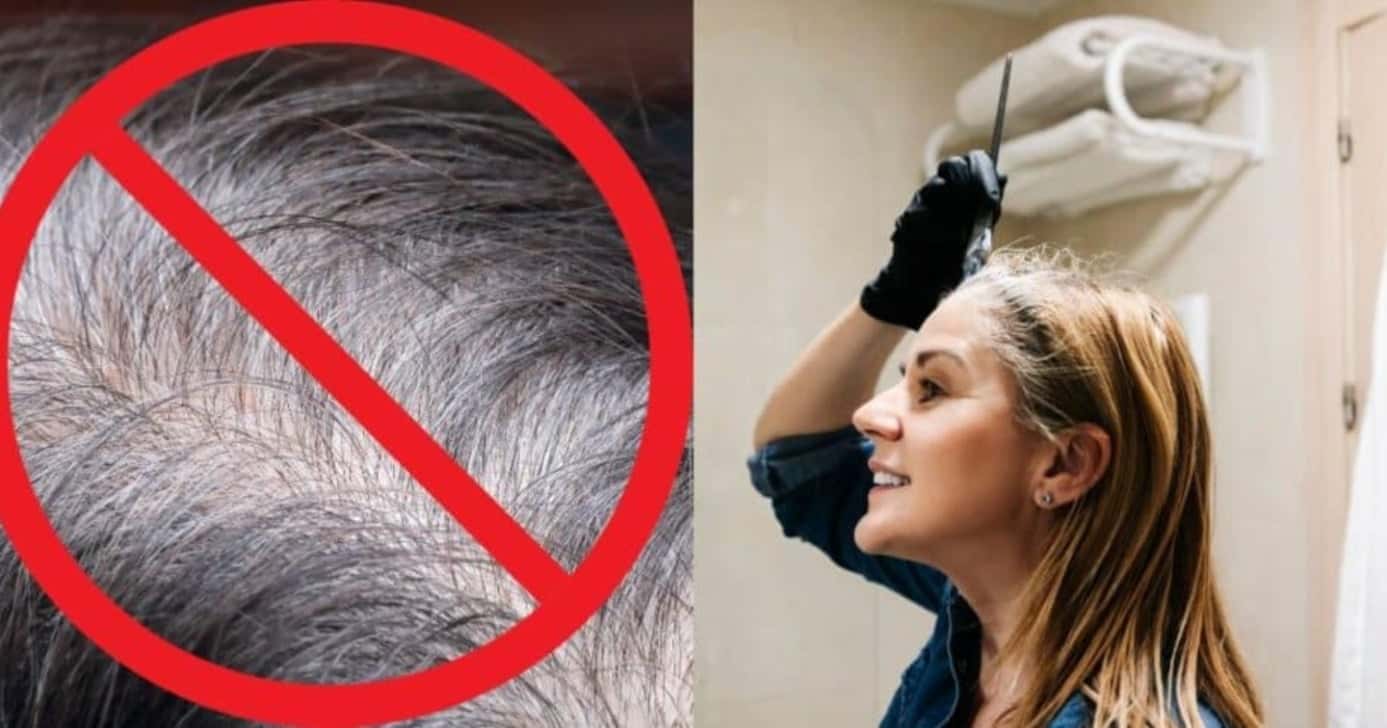 Tinta natural com 5 ingredientes deixa reflexos dourados no cabelo moreno sem química - Foto: Montagem
