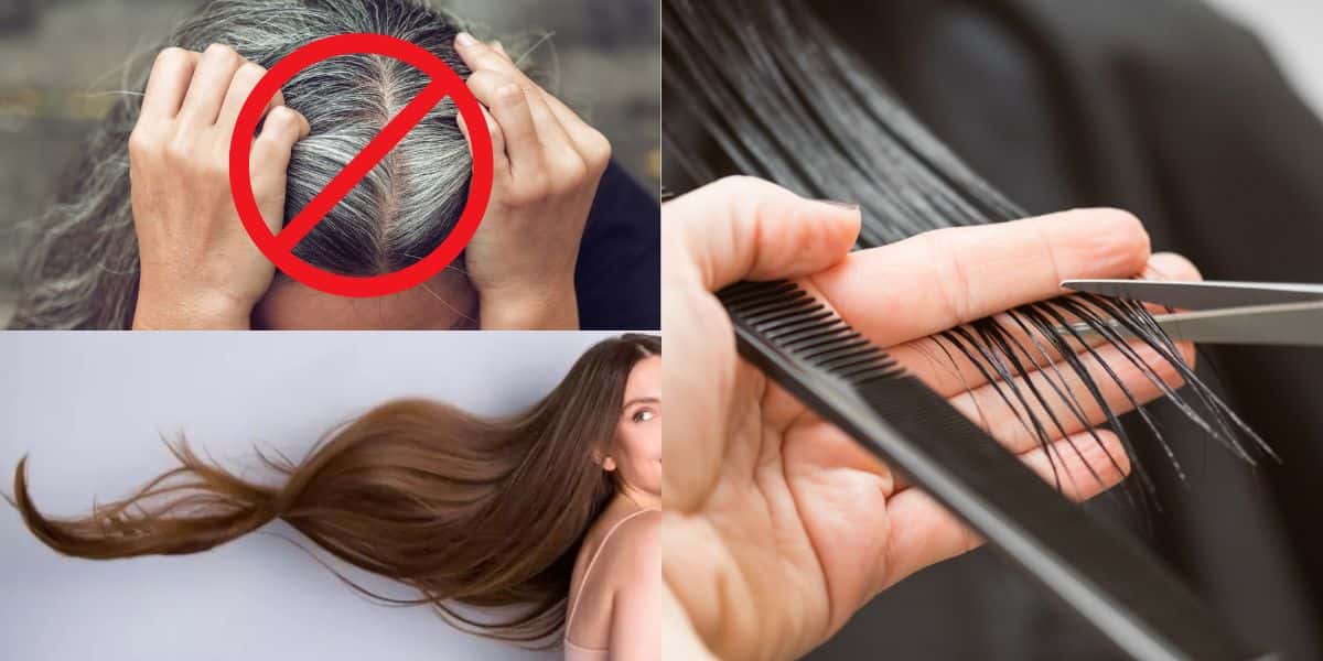 5 cortes de cabelo para dar fim ao grisalho e ter volume nos fios (Reprodução: Montagem TV Foco)