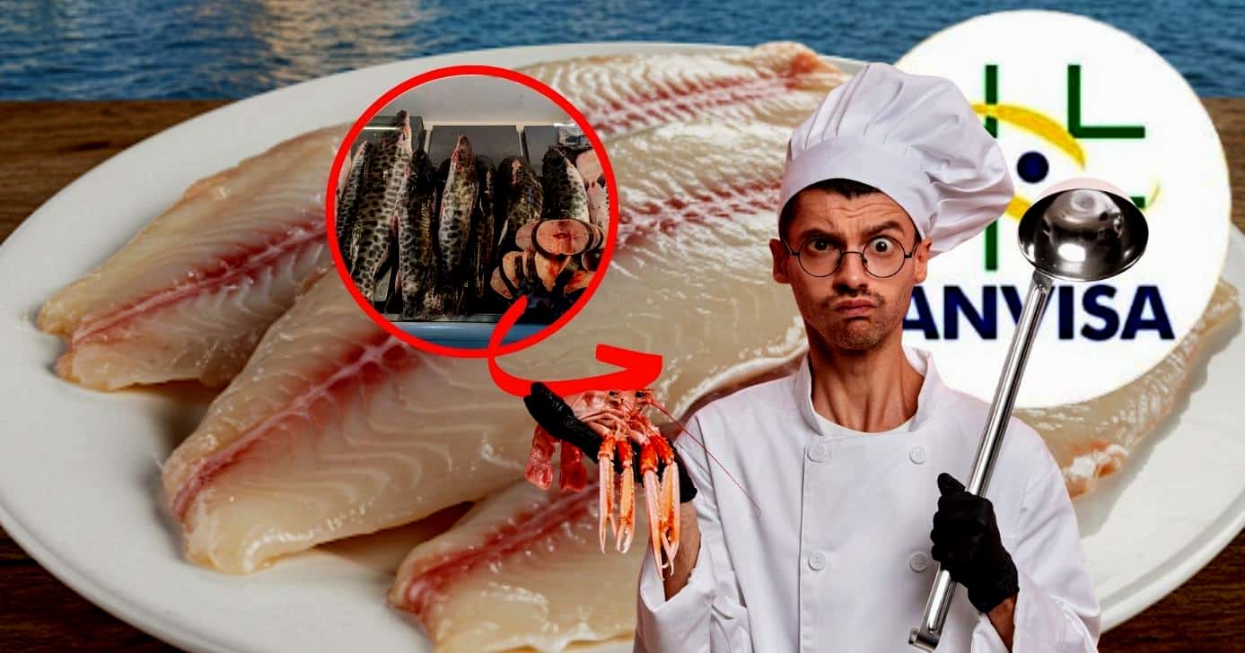 Mercado de pescados levanta alerta da ANVISA após descoberta em São Luís, MA (Foto Reprodução/Montagem/Tv Foco/Lennita/Canva)