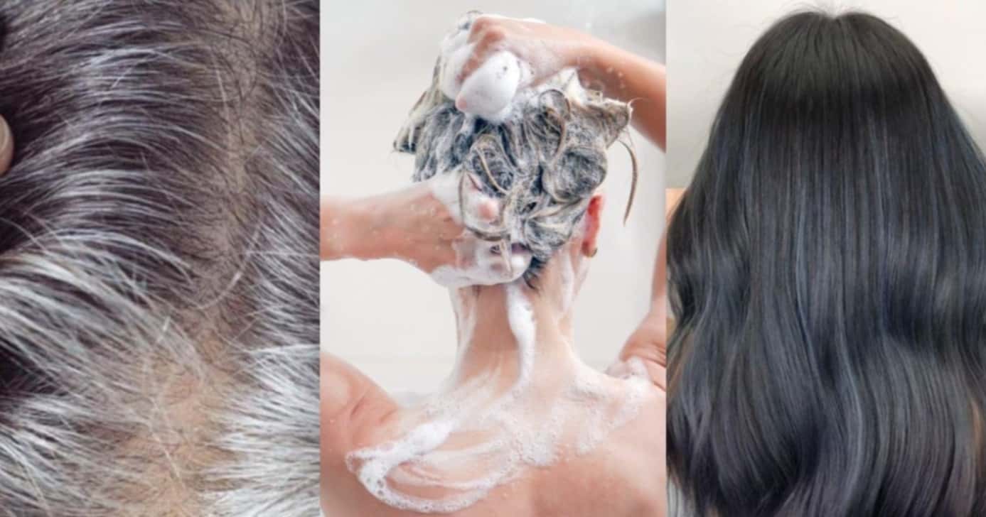 Fios brilhantes e macios: Receitinha com 3 ingredientes escurece o cabelo branco em 30 minutos - Foto: Montagem
