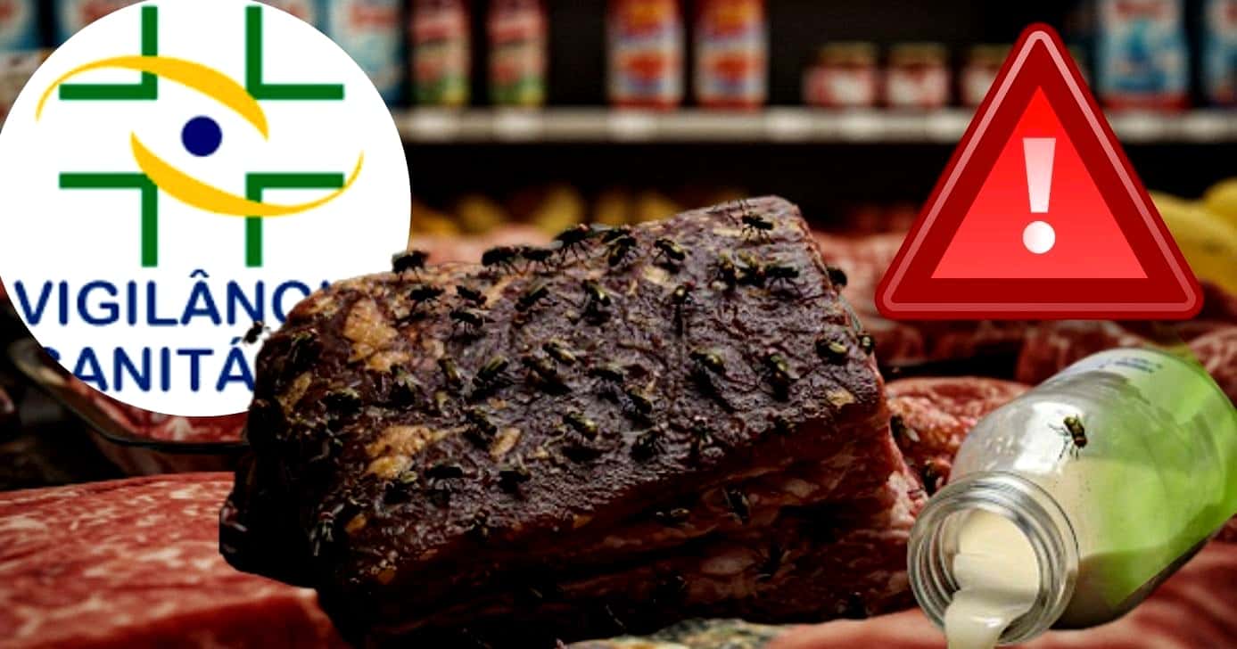 Vigilância é acionada após presença de moscas em carne (Foto Reprodução/Montagem/Tv Foco/Lennita/Canva)