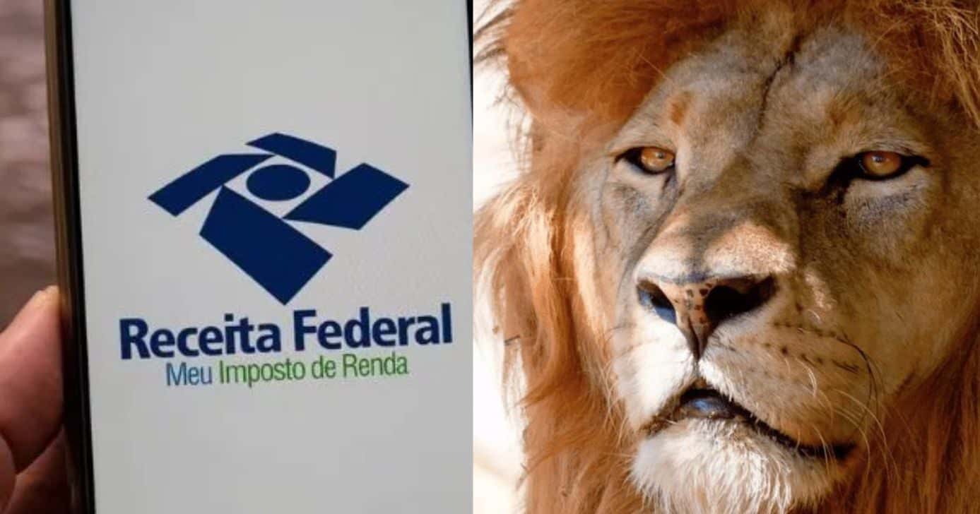 Imposto de Renda com isenção até R$5 mil (Reprodução: Montagem TV Foco)