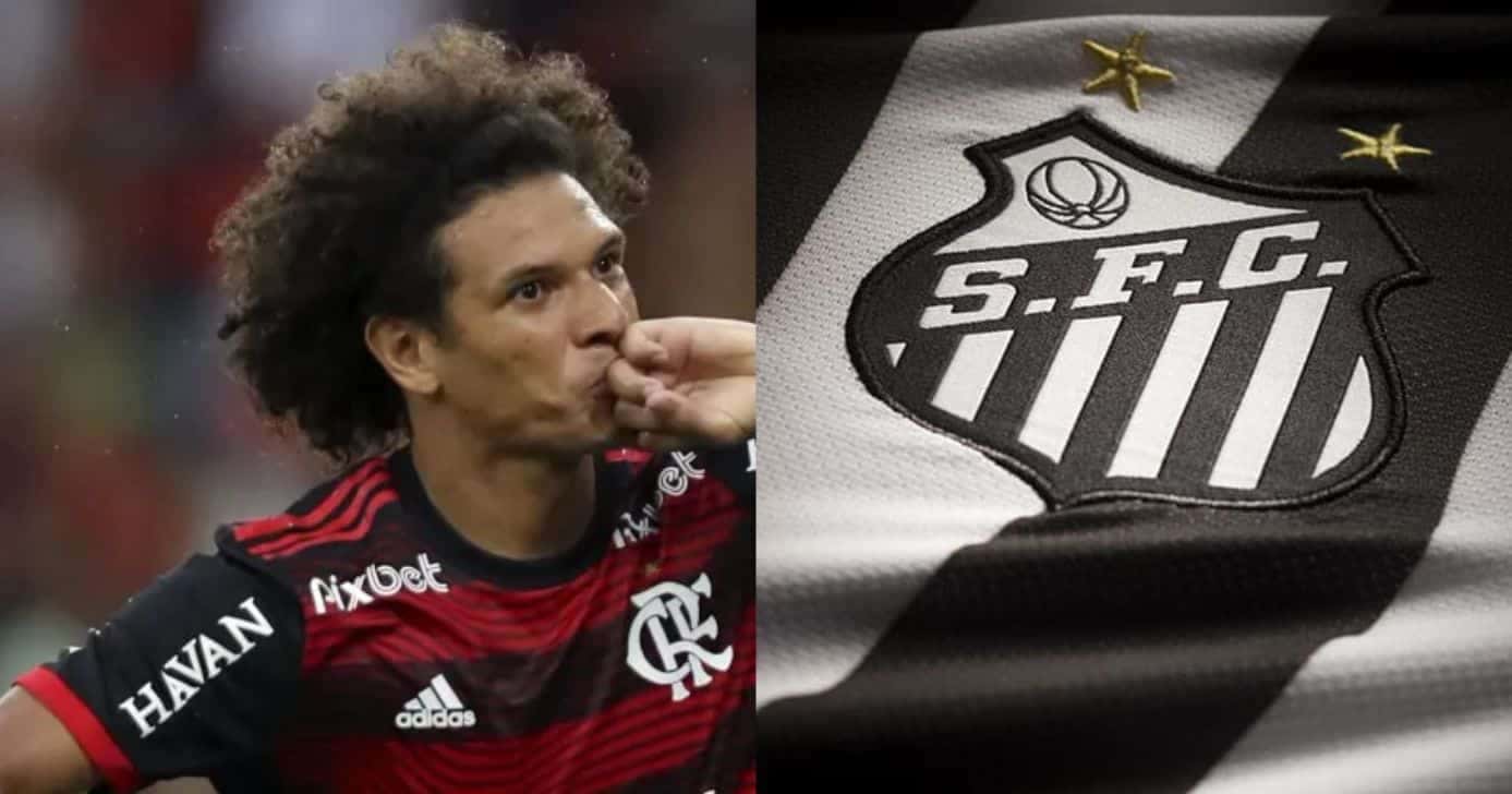 William Arão e Santos no Brasileirão - Foto Reprodução Internet