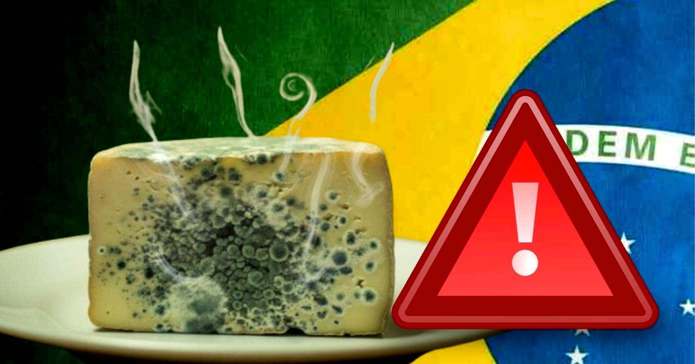 Queijo podre faz cliente denunciar marca popular (Foto Reprodução/Montagem/Lennita/TV Foco/GMN)