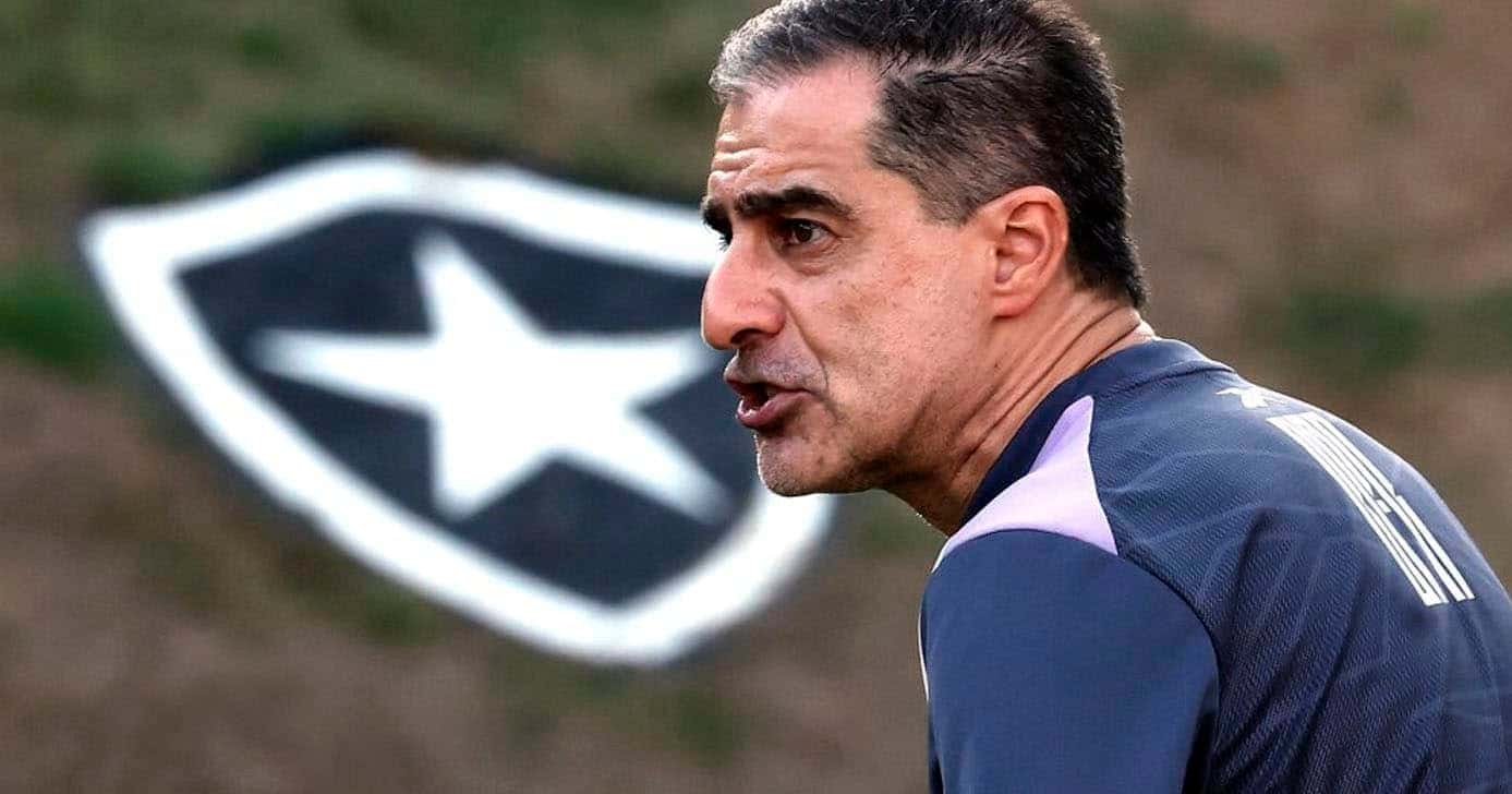 Renato Paiva - Botafogo (Foto: Reprodução)