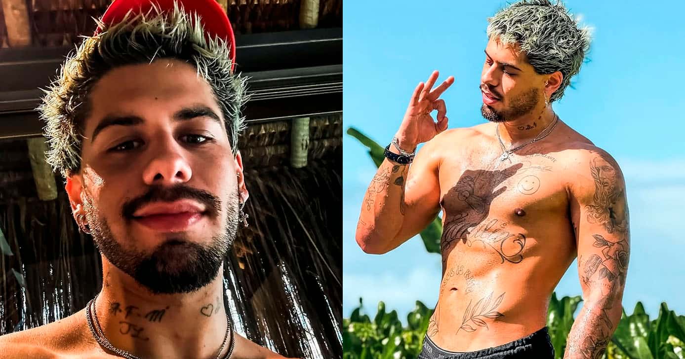 Zé Felipe (Foto: Reprodução)