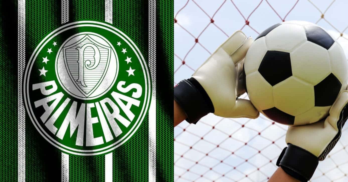 Palmeiras ver ex-goleiro assinar com PSG - Montagem / TV FOCO