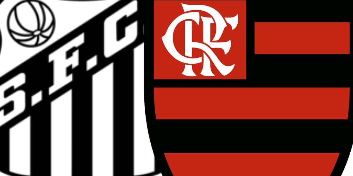 Montagem - Tv Foco
