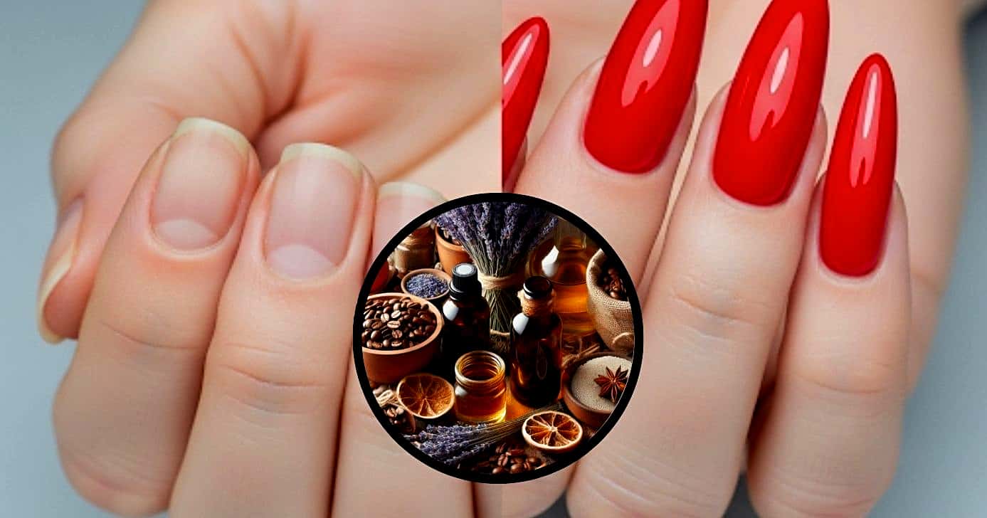 Saiba como ter unhas fortes com ingredientes básicos e que estão na sua cozinha (Foto Reprodução/Montagem/GMN/Lennita/Tv Foco)