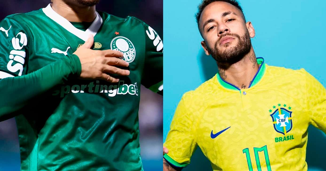 Palmeiras - Neymar (Foto: Reprodução)