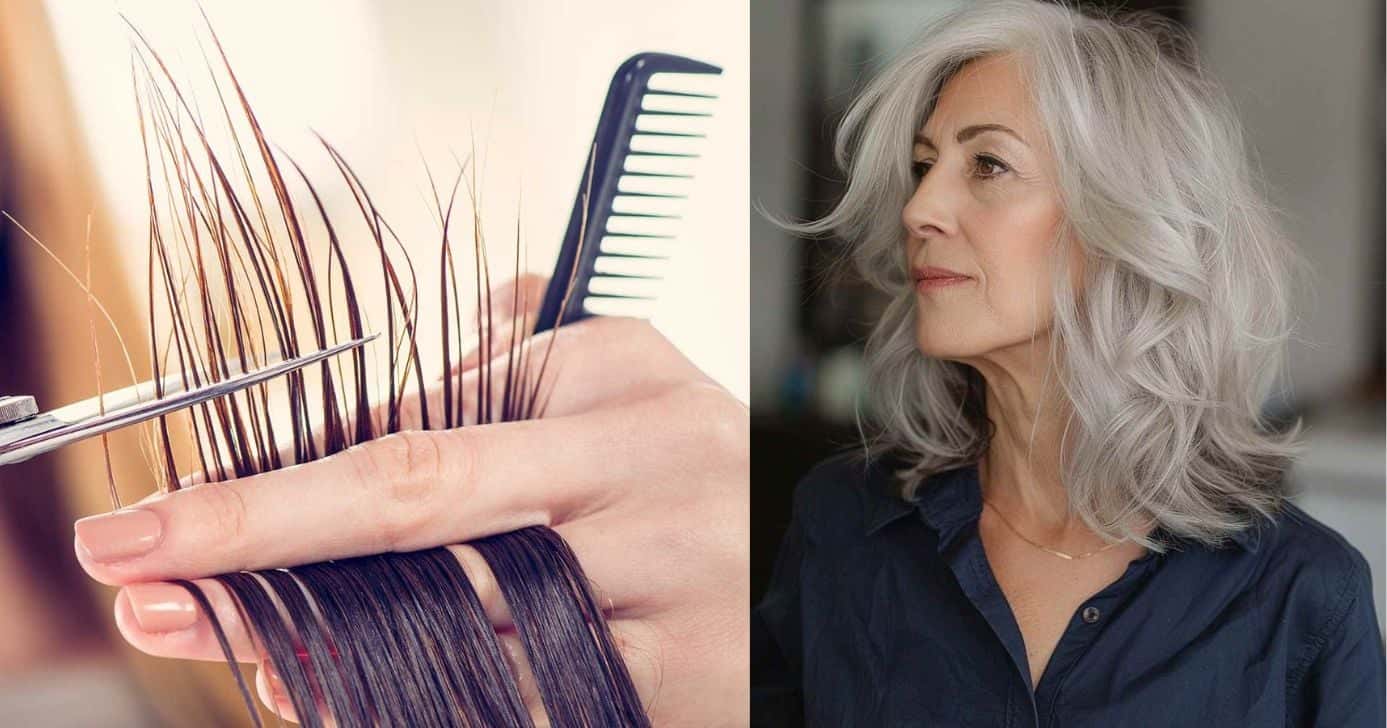 Corte de cabelo que rejuvenescem mulheres 60+ (Foto Reprodução/Montagem/TV Foco/Canva/Paola)