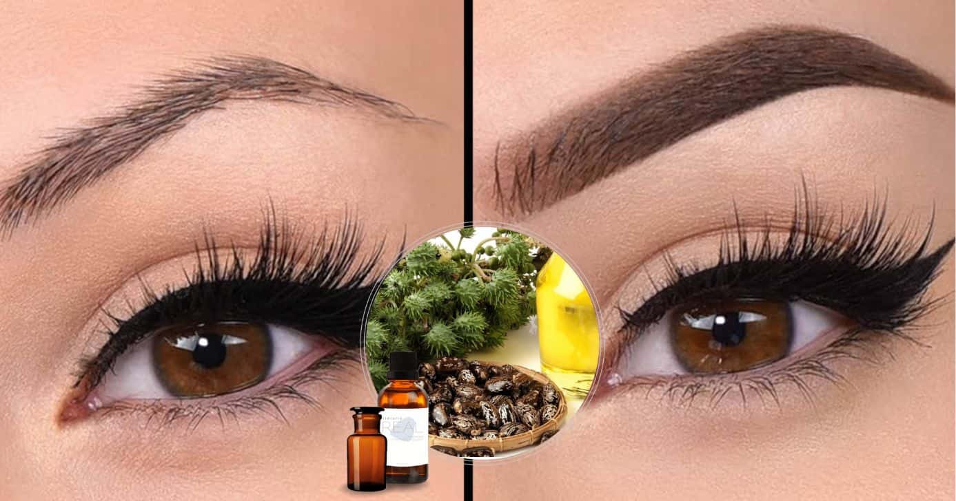 Óleo poderoso restaura sobrancelhas ralas em fios cheios e livra você do salão com micropigmentação caseira (Foto Reprodução/Montagem/TV Foco/Canva/Paola)