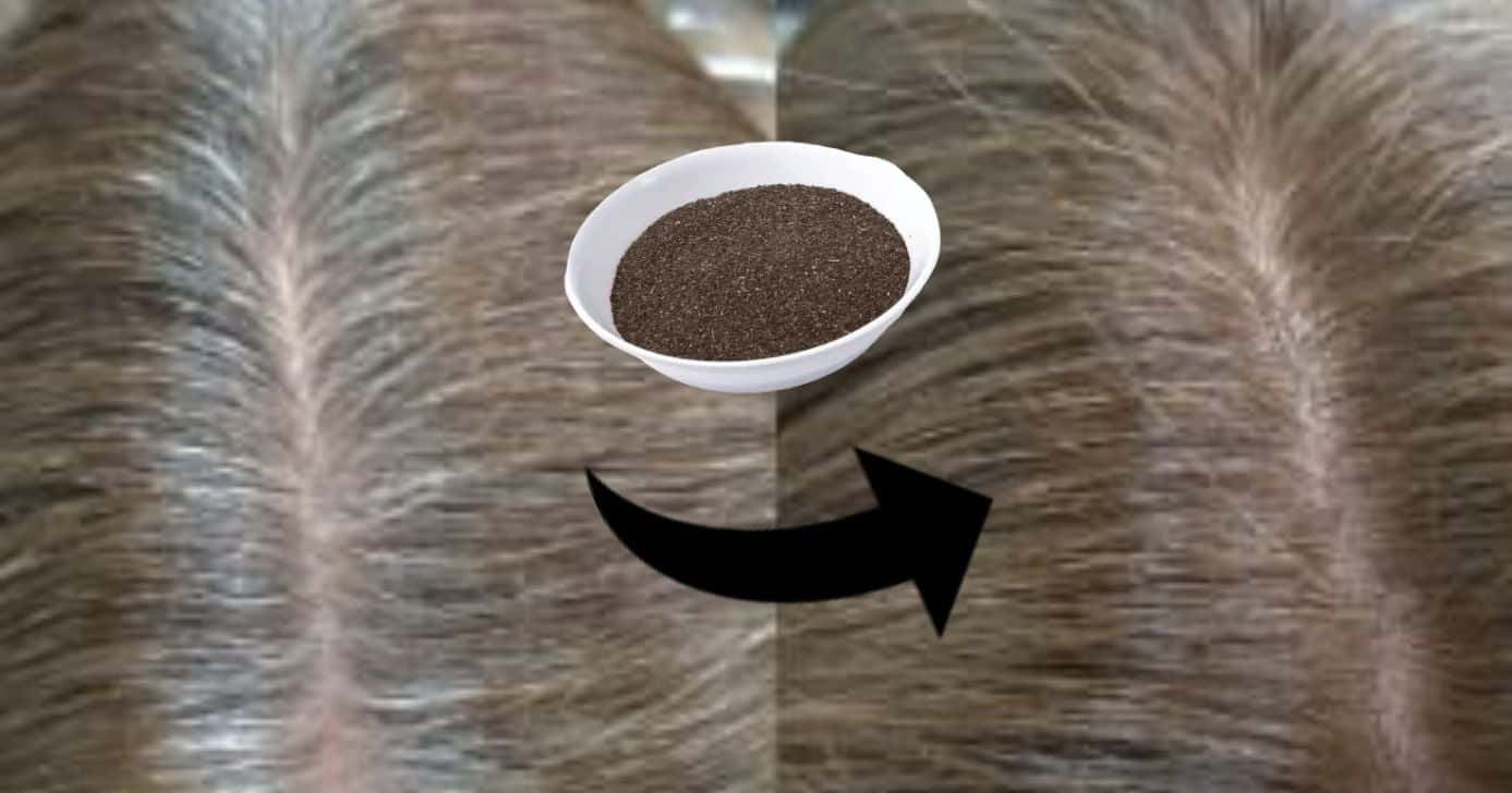 Adeus fios brancos: ingrediente simples escurece o cabelo em 15 minutos e devolve aparência mais jovem (Foto Reprodução/Montagem/TV Foco/Canva/Paola)
