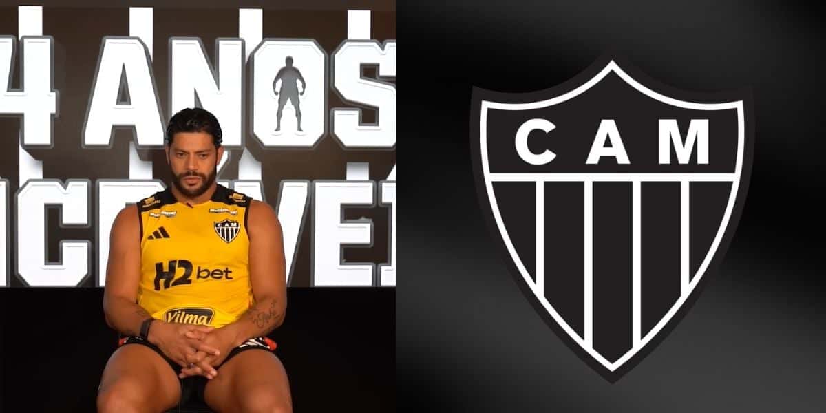 Foto - Montagem TV Foco/ Reprodução Youtube - Galo TV
