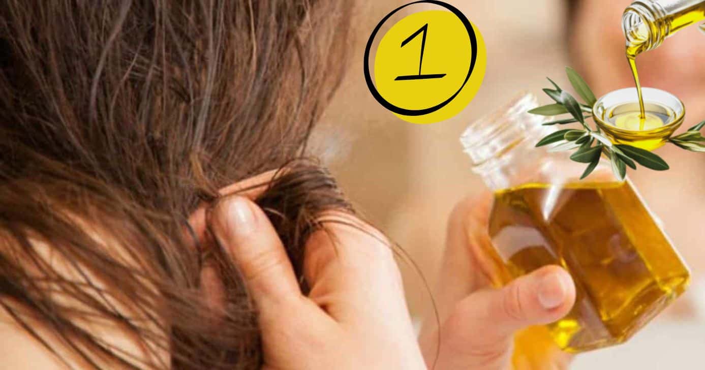 Falência da progressiva, escova e chapinha: Um único ingrediente popular alisa o cabelo e salva os fios (Foto Reprodução/Montagem/TV Foco/Canva/Paola)