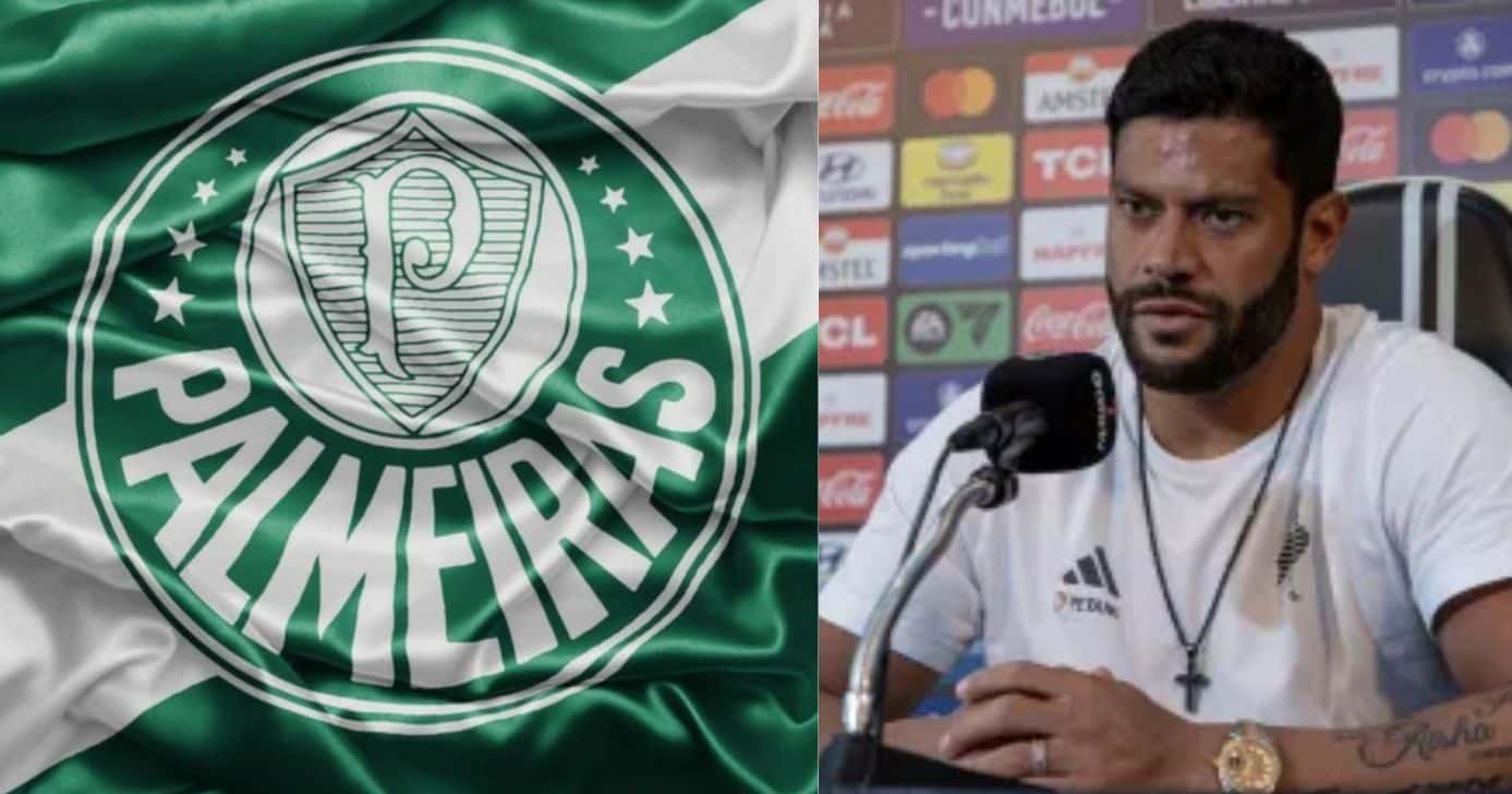 Logo Palmeiras / Hulk - Montagem: TV FOCO
