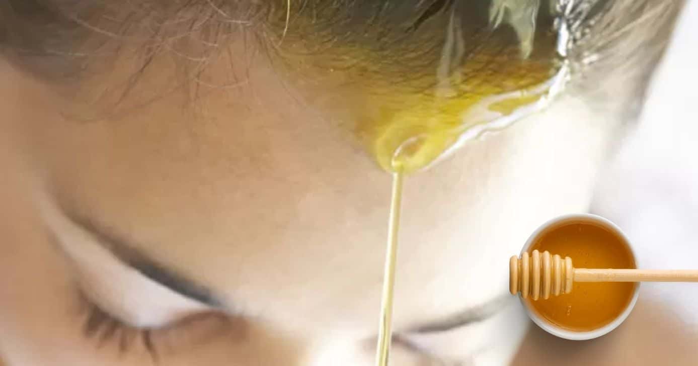 Como usar o mel para o cabelo mais liso naturalmente (Foto Reprodução/Montagem/TV Foco/Canva/Paola)