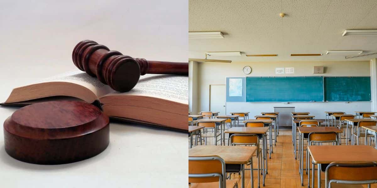 Lei com nova obrigação aos alunos nas escolas (Reprodução: Montagem TV Foco)