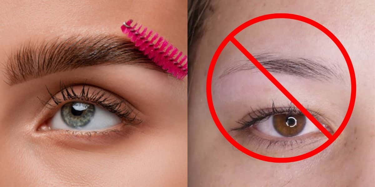 4 dicas para preencher sobrancelha naturalmente (Reprodução: Montagem TV Foco)
