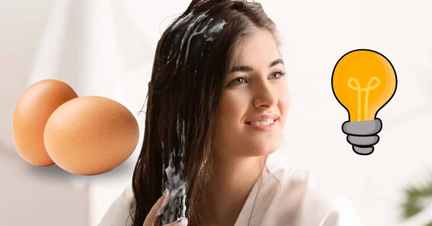 Você pode fazer essa misturinha com ovo em casa para hidratar o cabelo (Foto Reprodução/Montagem/TV Foco/Canva/Paola)