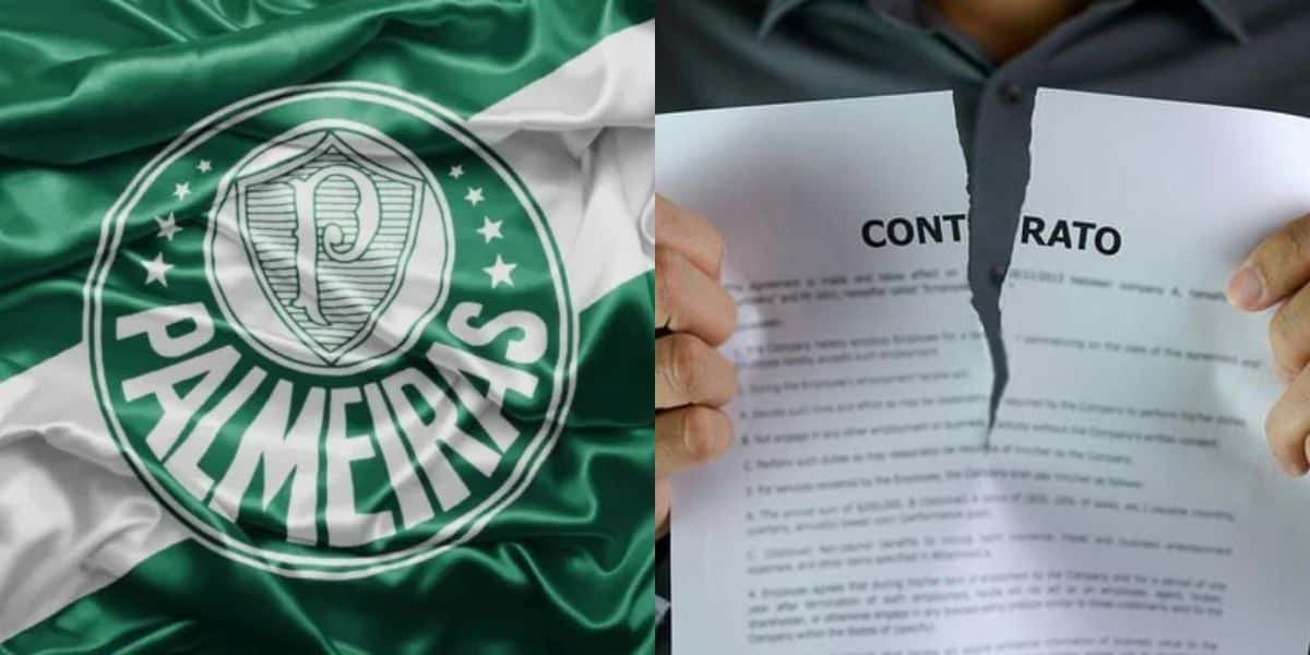 Meio-campista contrato rasgado com o Palmeiras (Reprodução: Montagem TV Foco)