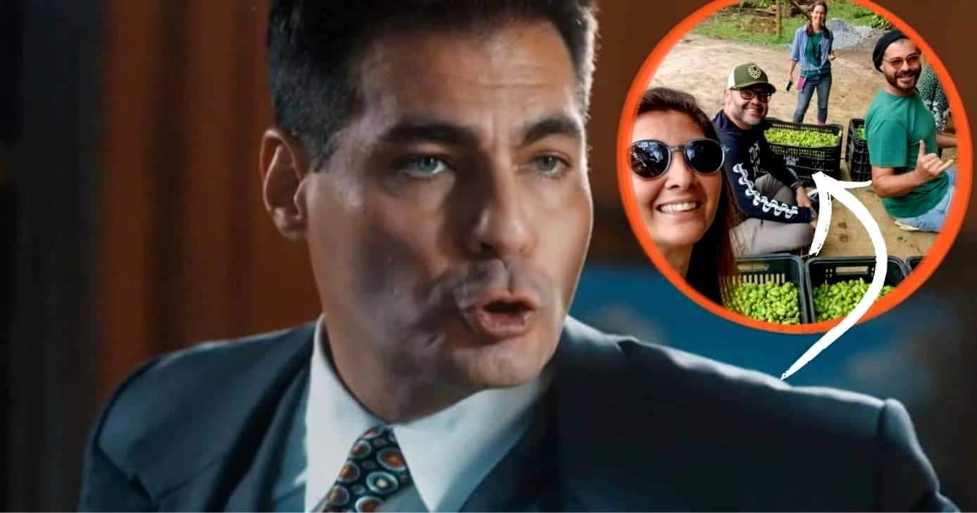 Thiago Lacerda, além da atuação, se dedida no cultivo de cevada em um sítio (Foto Reprodução/Montagem/TV Foco/Canva/Lennita/Globo/Instagram)