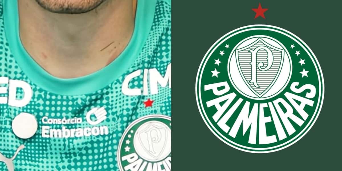 Meia será titular no Palmeiras (Foto: YouTube Palmeiras TV )