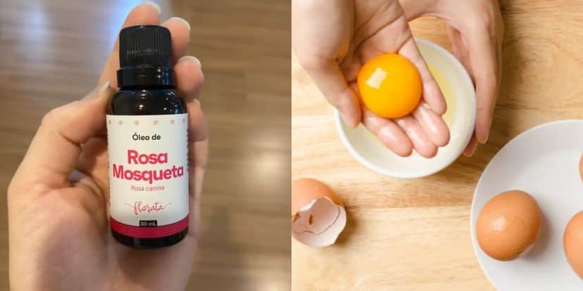 Óleo de rosa de mosqueta e 2 gemas de ovo para a receita (Reprodução: Montagem TV Foco) Óleo de rosa de mosqueta e 2 gemas de ovo para a receita (Reprodução: Montagem TV Foco)