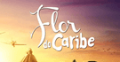 Flor do Caribe Flor do Caribe