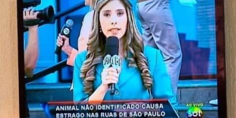 "Programa Silvio Santos" estreia nova pegadinha "Programa Silvio Santos" estreia nova pegadinha