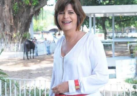 A autora de novelas Cristianne Fridman, (Foto: Divulgação) A autora de novelas Cristianne Fridman, (Foto: Divulgação)