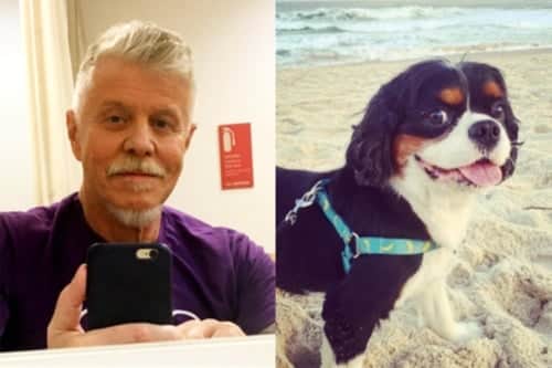 O cachorrinho vai deixar falta para Miguel Falabella (Foto: Reprodução) O cachorrinho vai deixar falta para Miguel Falabella (Foto: Reprodução)