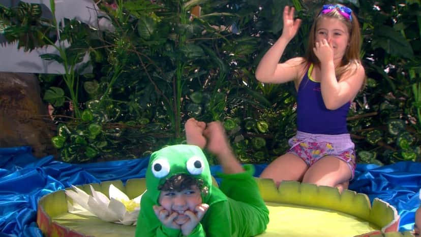 O Sapo Não Lava o Pé "Carnha de Anjo" (Foto: Divulgação/SBT)