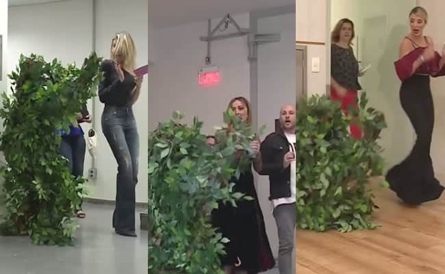 Fábio Porchat se veste de samambaia humana e assusta apresentadores da Record Fábio Porchat se veste de samambaia humana e assusta apresentadores da Record