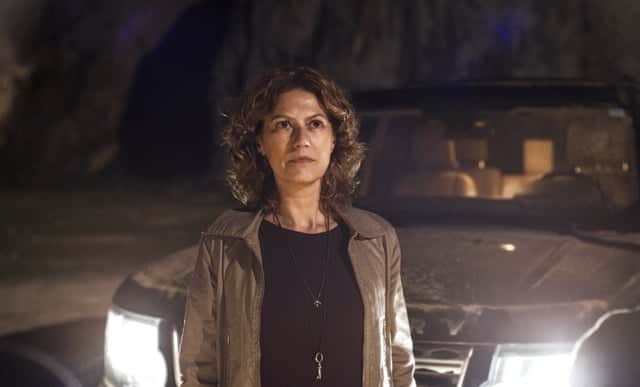 Cássia (Patricia Pillar) em cena de Onde Nascem os Fortes (Foto: Globo/Estevam Avellar) Cássia (Patricia Pillar) em cena de Onde Nascem os Fortes (Foto: Globo/Estevam Avellar)
