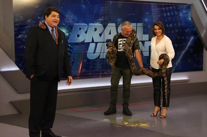 Datena e Catia Fonseca são surpreendidos por cobra no Brasil Urgente (Foto: TV Foco) Datena e Catia Fonseca são surpreendidos por cobra no Brasil Urgente (Foto: TV Foco)