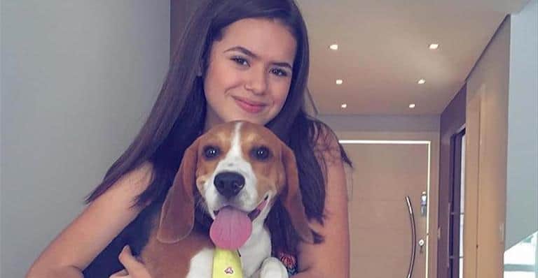 Maisa e seu cachorro (Foto: Reprodução/Instagram) Maisa e seu cachorro (Foto: Reprodução/Instagram)