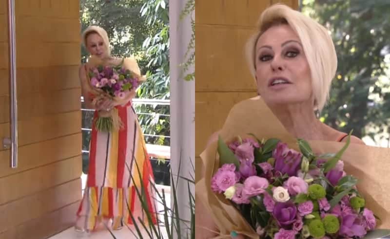 Ana Maria Braga na Globo (Foto: TV Globo) Ana Maria Braga na Globo (Foto: TV Globo)