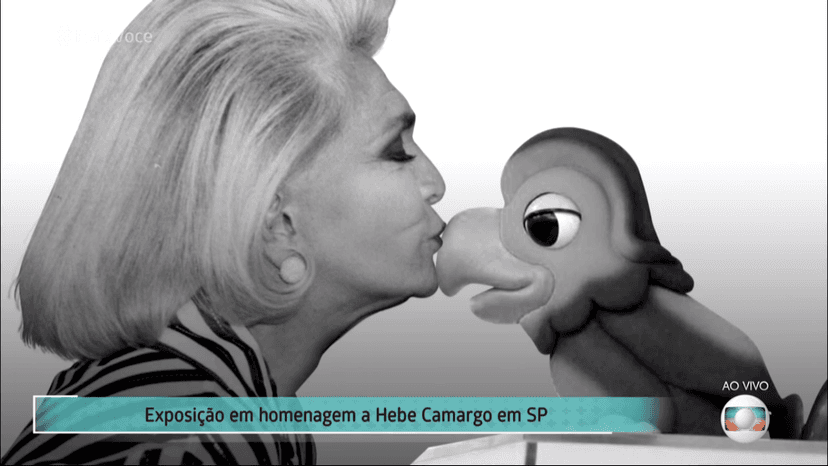 Hebe Camargo na Globo (Foto: Reprodução) Hebe Camargo na Globo (Foto: Reprodução)