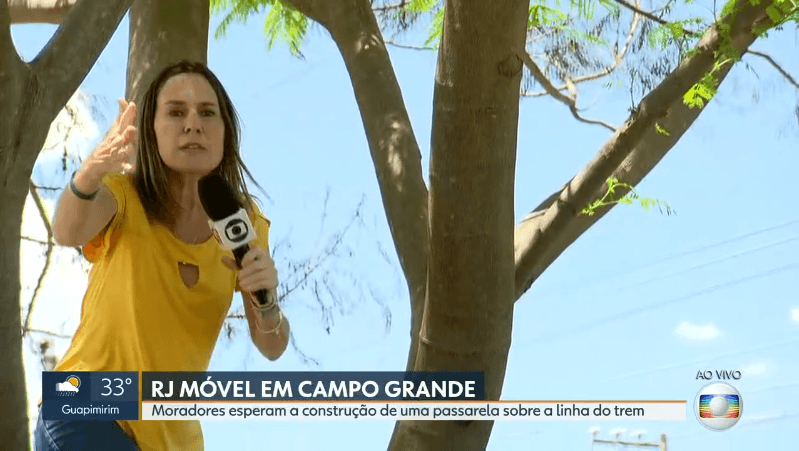 A repórter Susana Naspolini em cima de árvore ao vivo no RJ1 (Foto: Reprodução/Globo) A repórter Susana Naspolini em cima de árvore ao vivo no RJ1 (Foto: Reprodução/Globo)