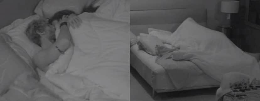 BBB19 BBB19