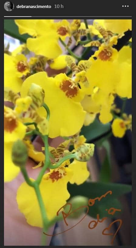Débora Nascimento dá "bom dia" com foto de orquídeas Foto: reprodução/ instagram Débora Nascimento dá "bom dia" com foto de orquídeas Foto: reprodução/ instagram